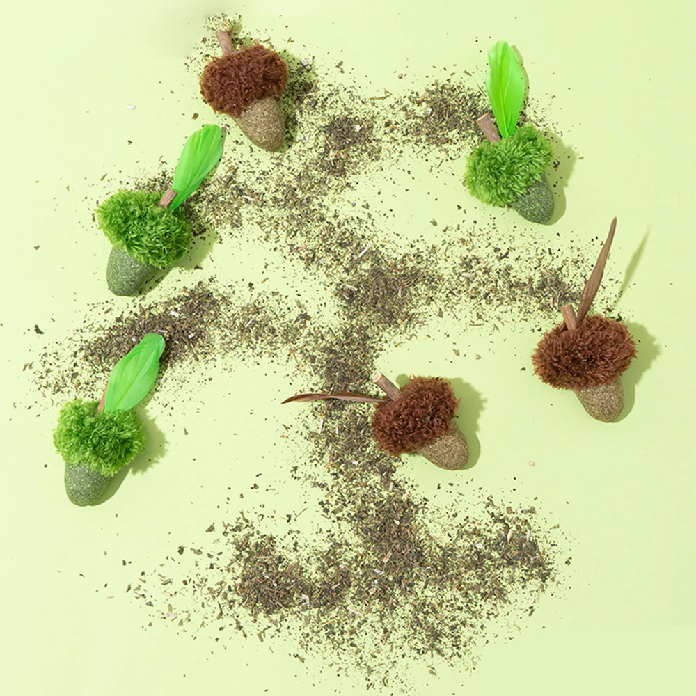 Acorn Catnip Cat Molar Stick Toy - Image 5