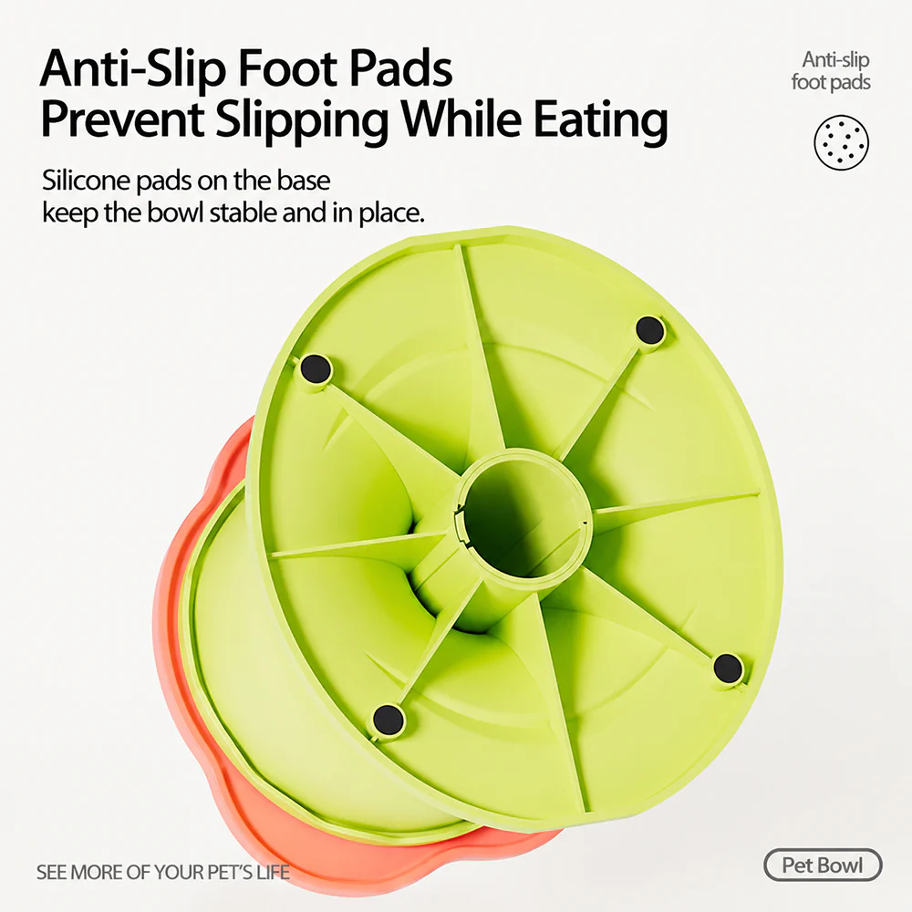 Adjustable Elevated Pet Bowl Ceramic Neck Support - Image 6