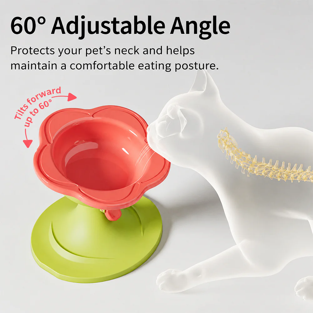 Adjustable Elevated Pet Bowl Ceramic Neck Support - Image 8