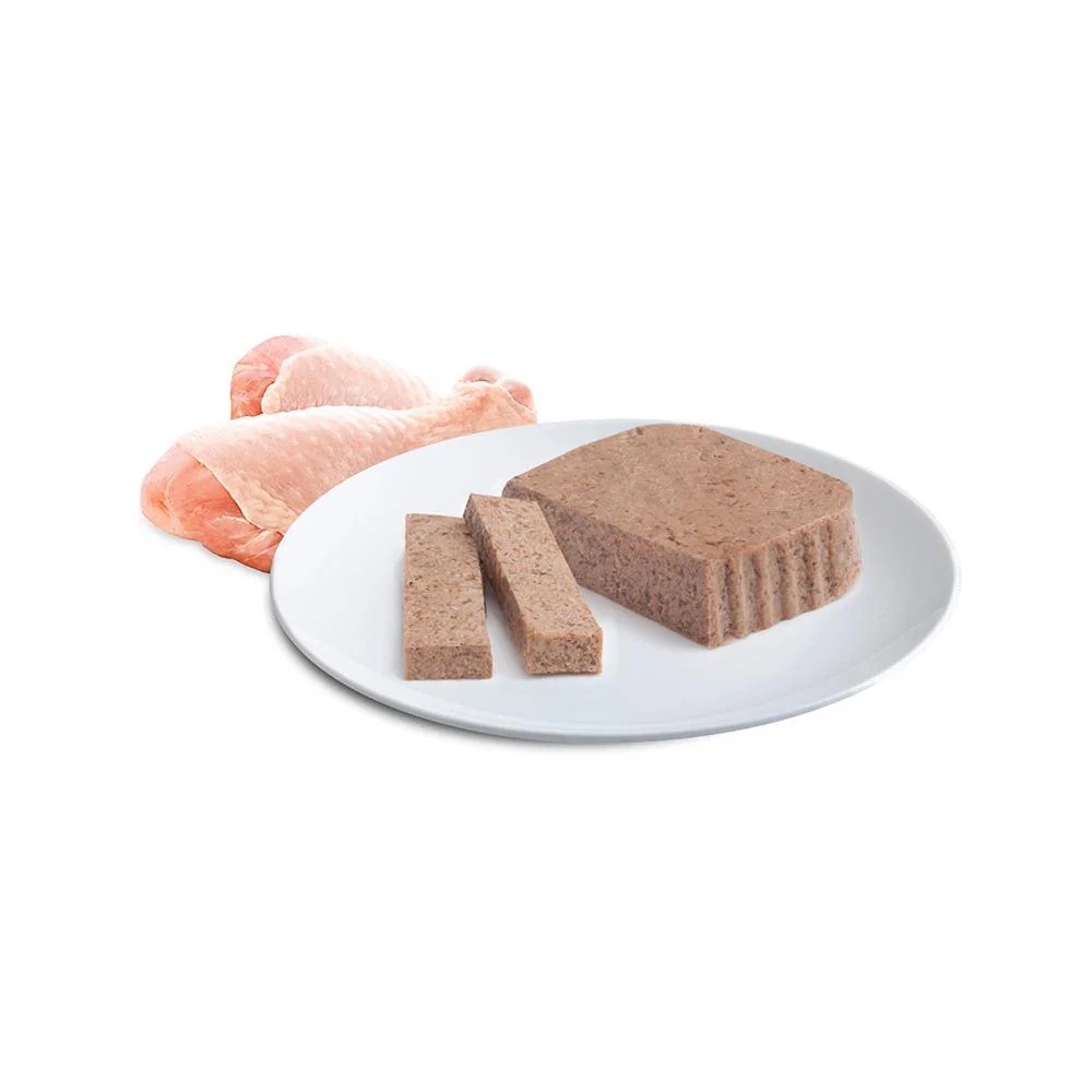ADVANCE Tender Chicken Cat Food for Kittens 7x85g - Image 7