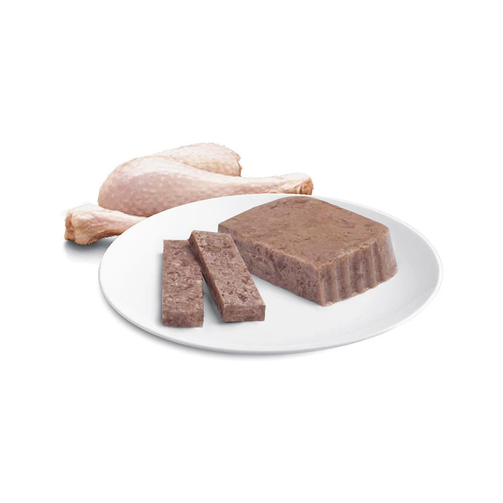 ADVANCE Succulent Turkey Cat Food for Adult Cats 7x85g - Image 7