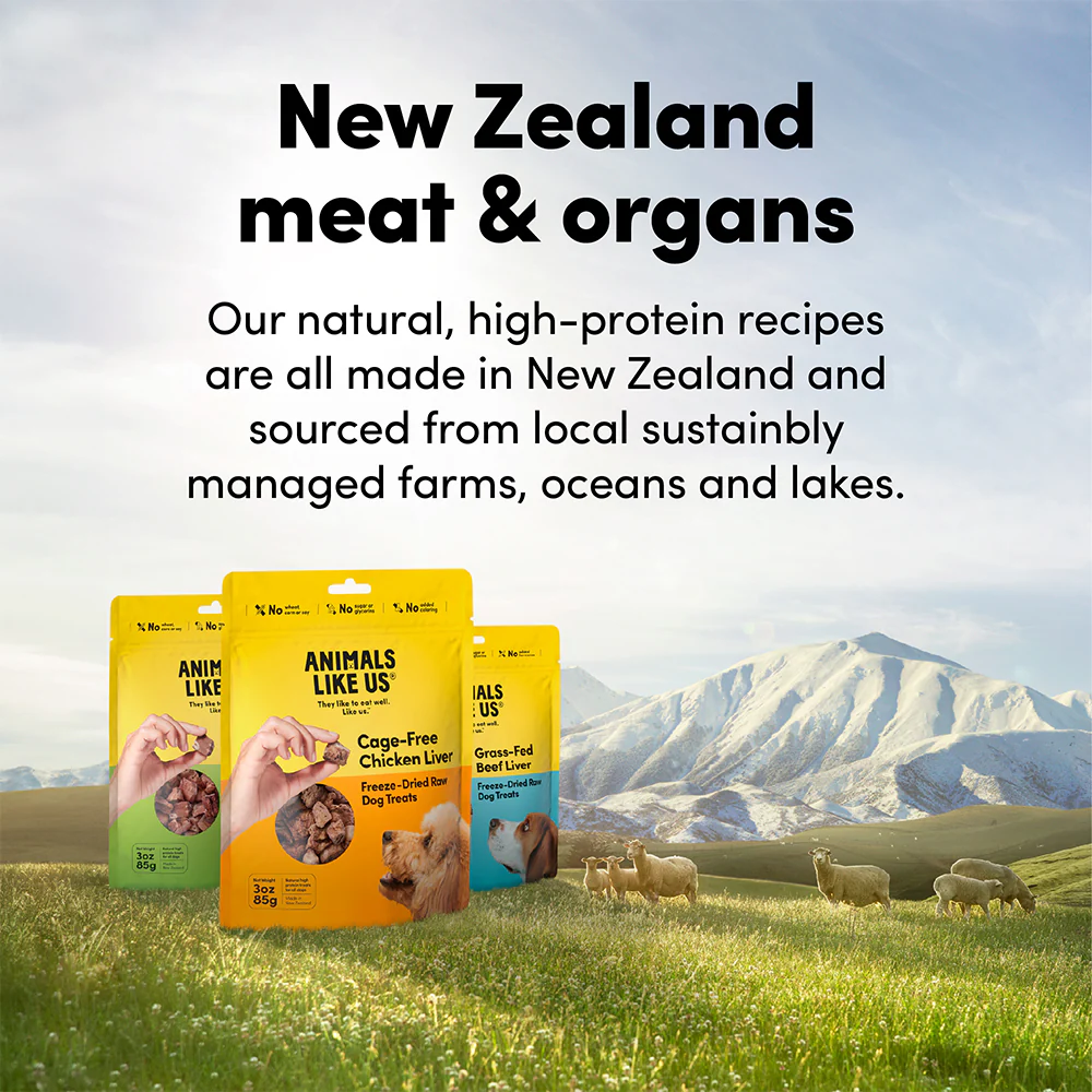 ANIMALS LIKE US Grass Fed Lamb Heart Freeze Dried Raw Dog Treats 85g - Image 8