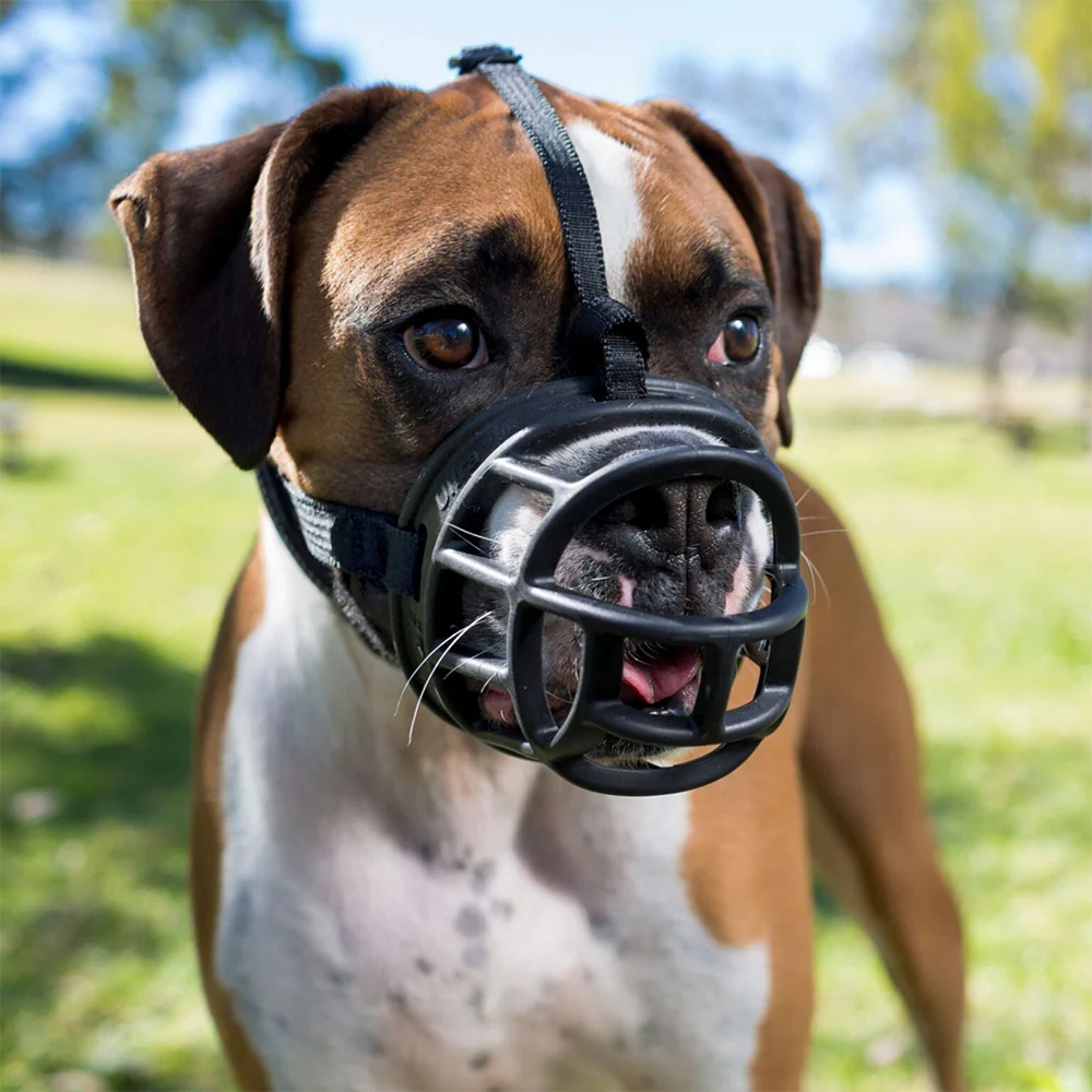 Baskerville Ultra Dog Muzzle Black - Image 7