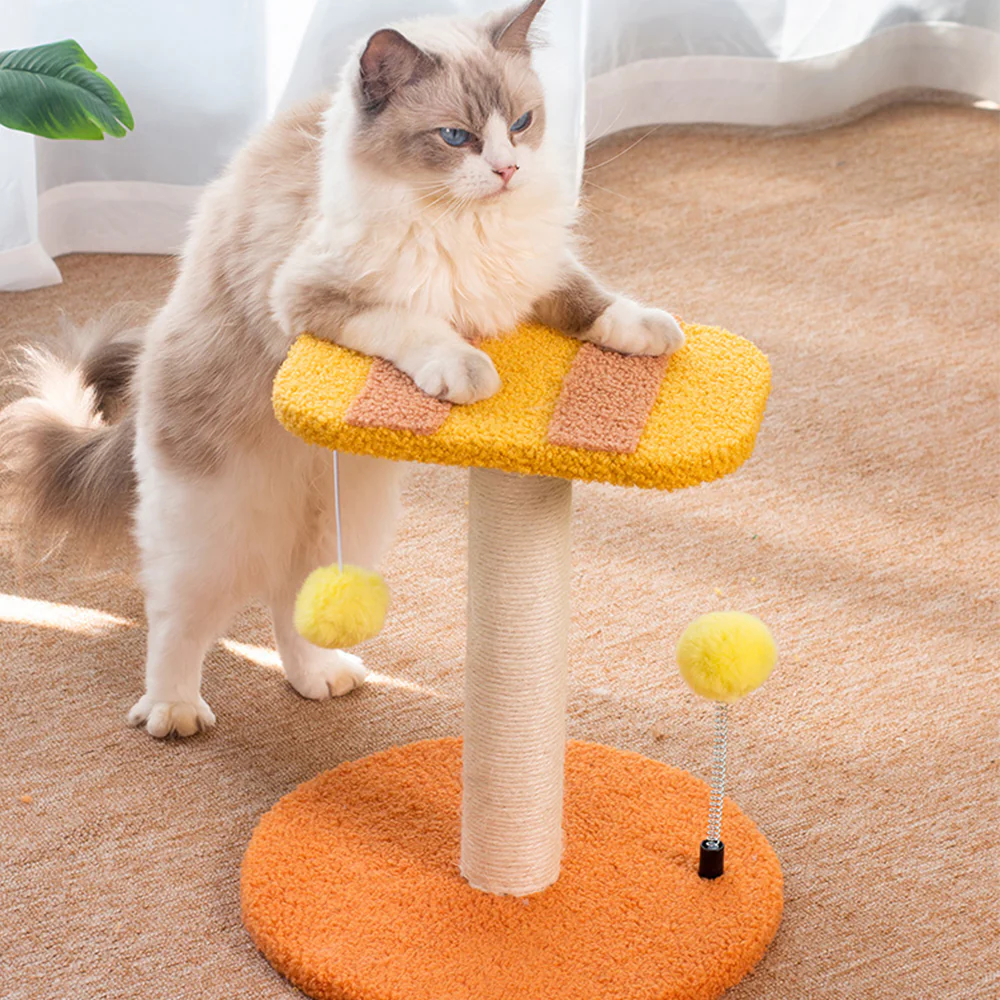 Bee Cat Scratching Post - Small 33x30x30cm - Image 5