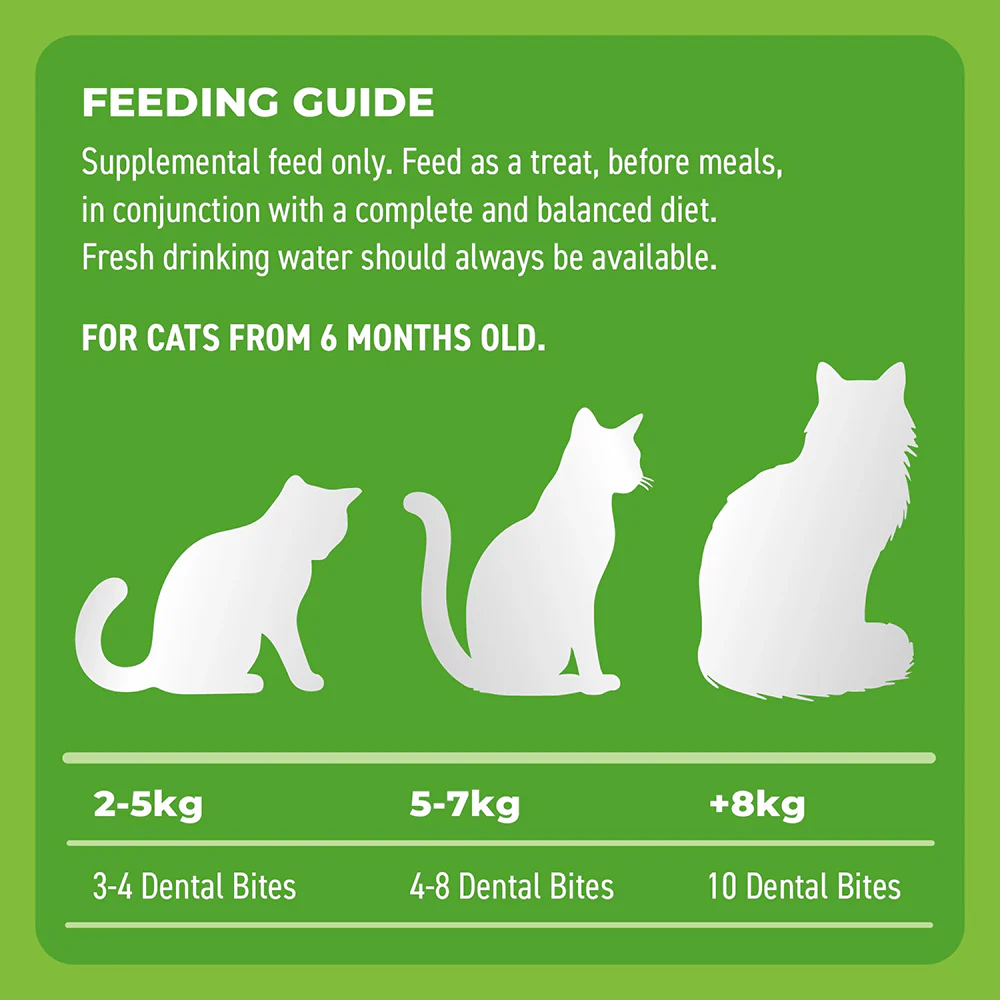 BELL & BONE Dental Bites Chicken With Blueberries Cat Treats 80g - Image 4