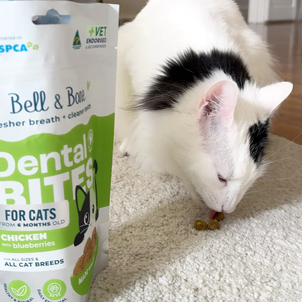 BELL & BONE Dental Bites Chicken With Blueberries Cat Treats 80g - Image 5