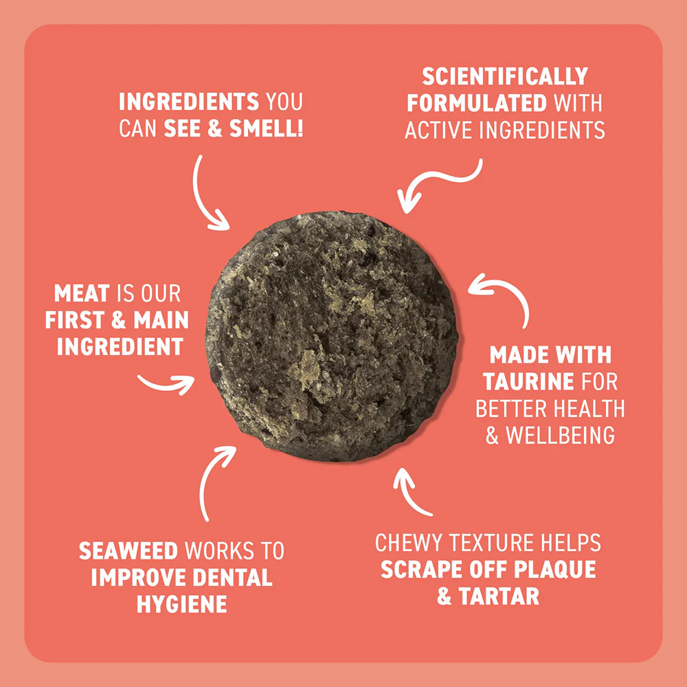 BELL & BONE Dental Bites Salmon With Charcoal Cat Treats 80g - Image 3
