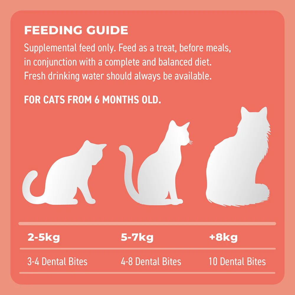 BELL & BONE Dental Bites Salmon With Charcoal Cat Treats 80g - Image 5