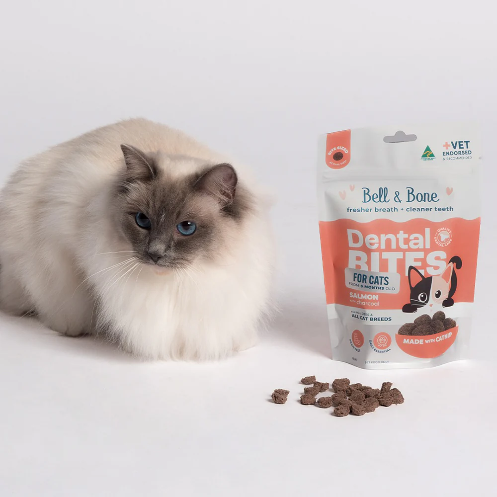 BELL & BONE Dental Bites Salmon With Charcoal Cat Treats 80g - Image 6