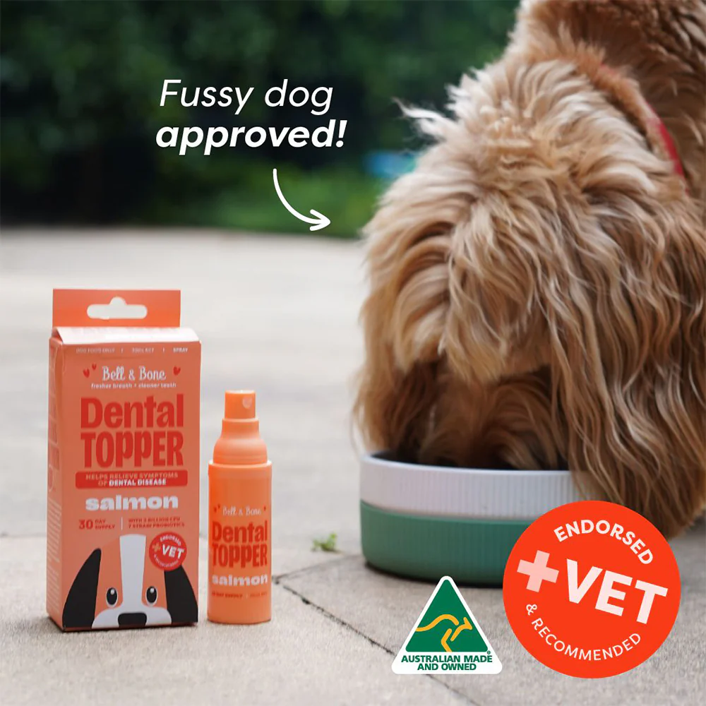 BELL & BONE Salmon Dog Dental Topper 30ml - Image 8