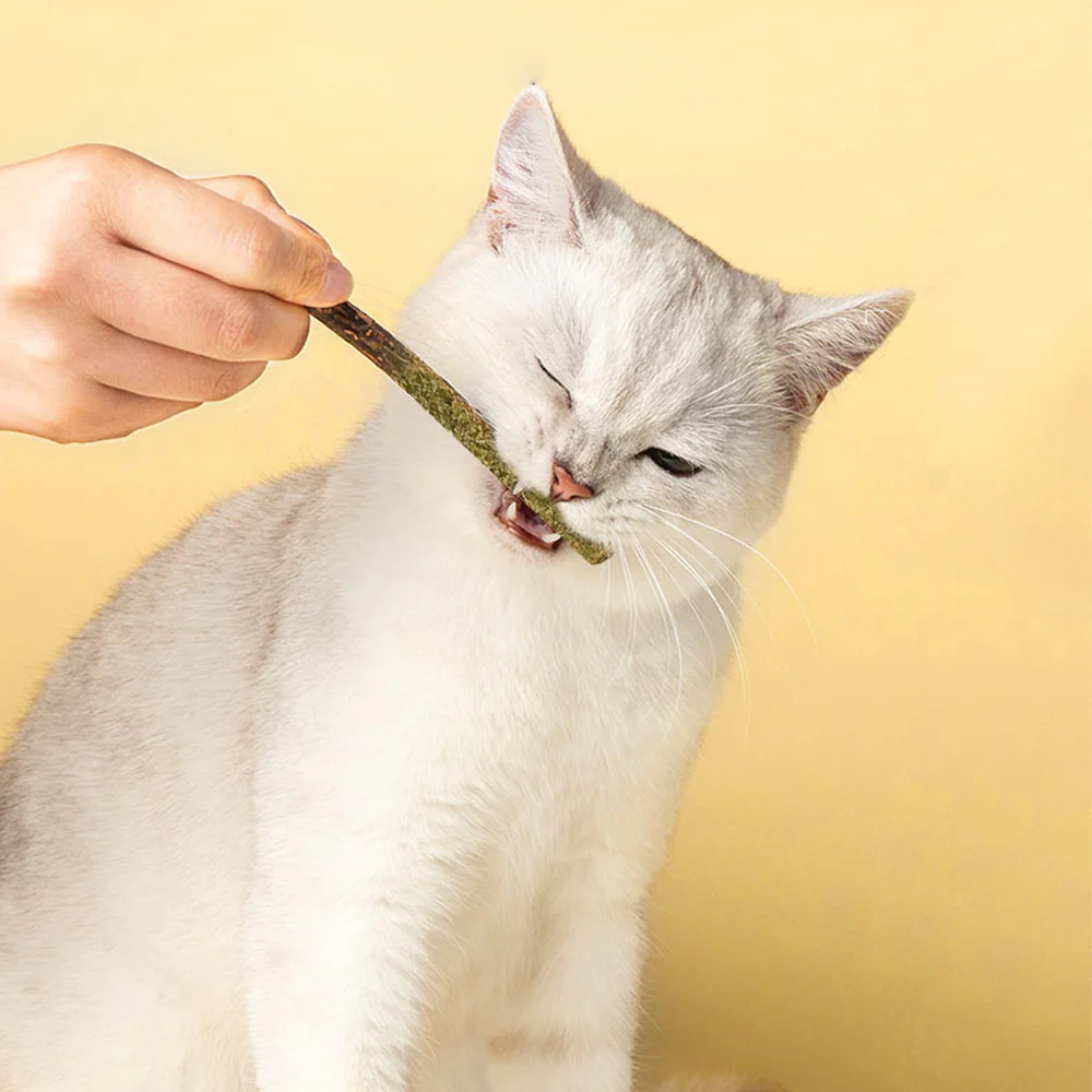 BITING MUSIC Green Polygonum Catnip Cat Mint Stick 6 Pack - Image 3