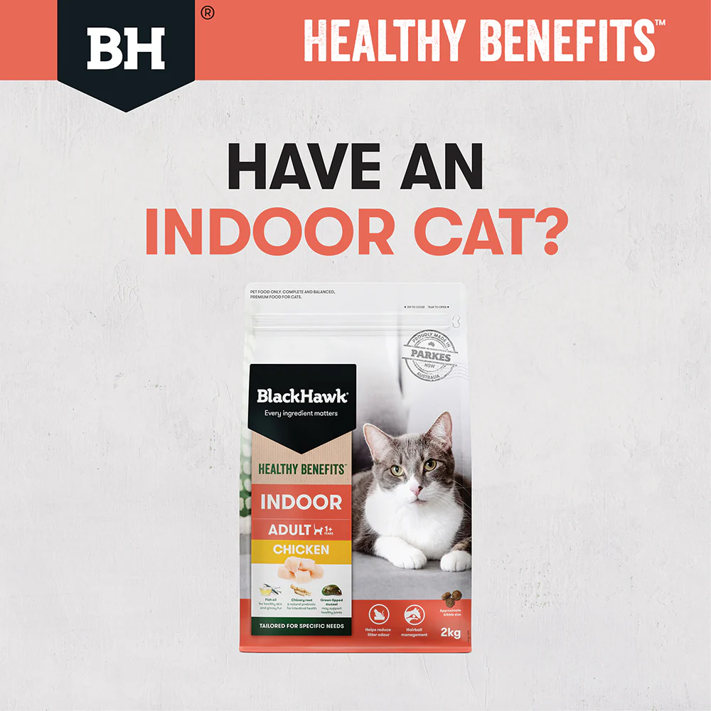 BLACK HAWK Healthy Benefits Chicken Indoor Adult Cat Food - Image 5