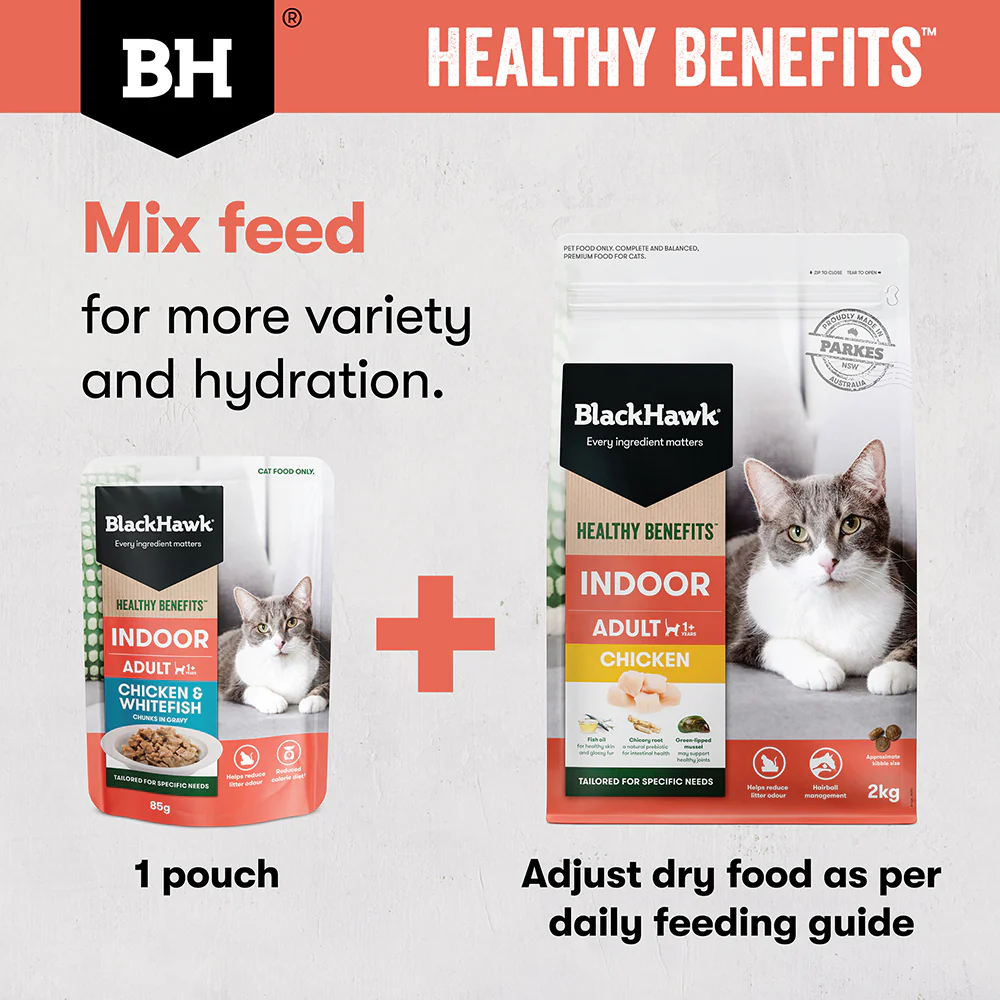 BLACK HAWK Healthy Benefits Chicken Indoor Adult Cat Food - Image 9