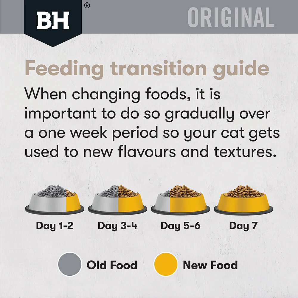 BLACK HAWK Original Chicken Adult Cat Food - Image 10