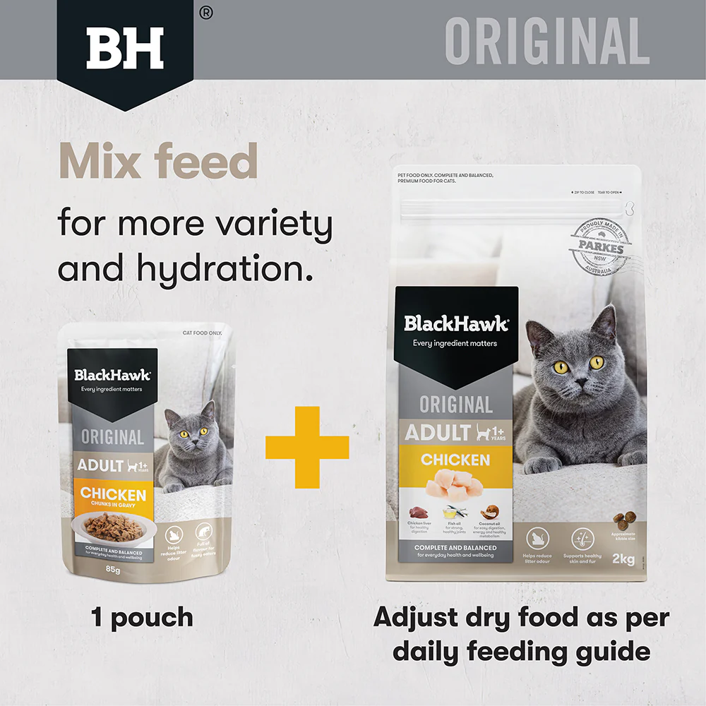BLACK HAWK Original Chicken Adult Cat Food - Image 9