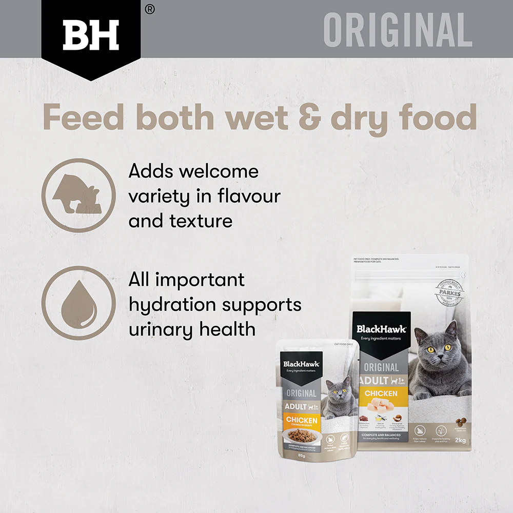 BLACK HAWK Original Chicken in Gravy Adult Wet Cat Food - Image 9