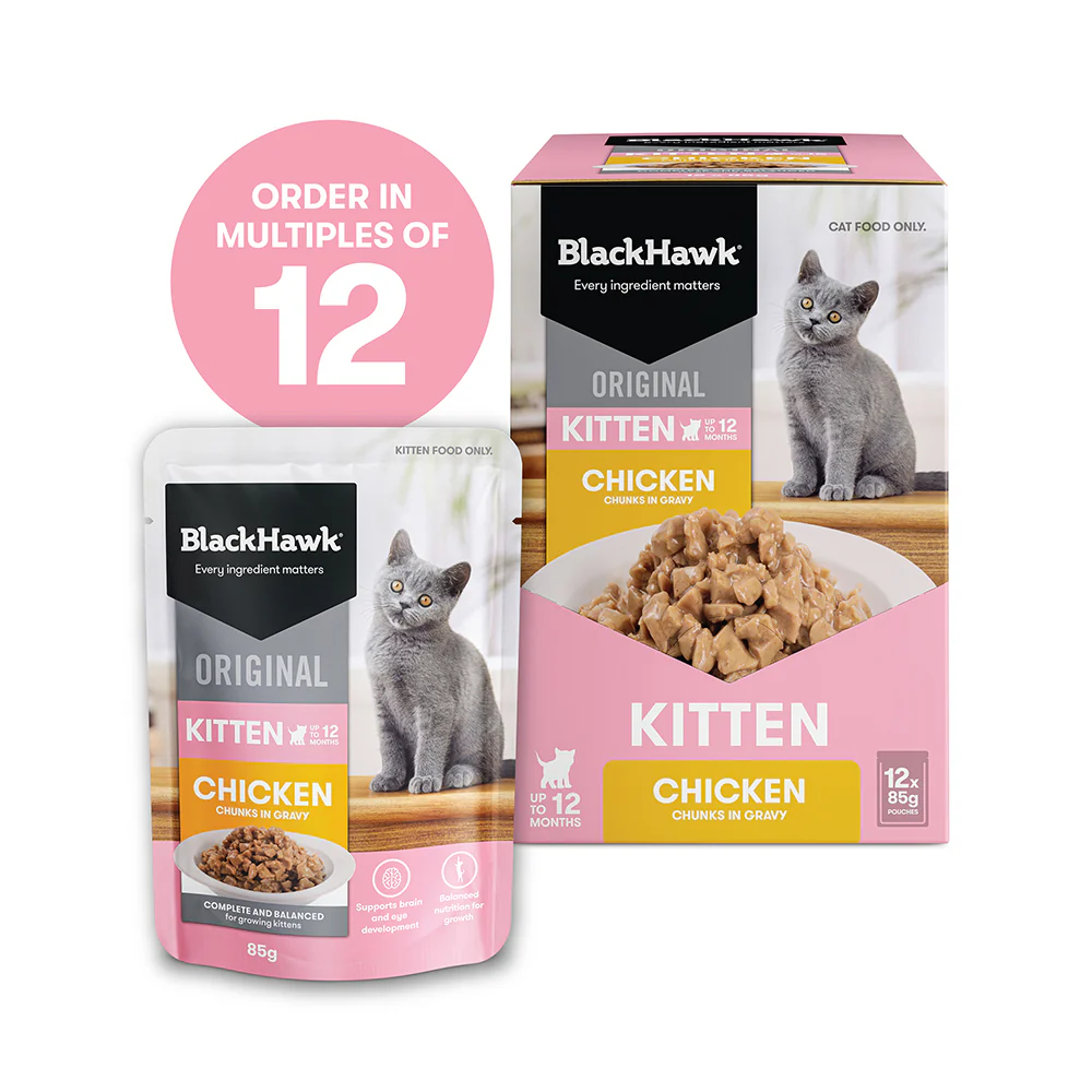 BLACK HAWK Original Chicken in Gravy Kitten Wet Cat Food - Image 12