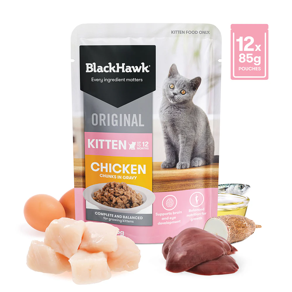 BLACK HAWK Original Chicken in Gravy Kitten Wet Cat Food - Image 13