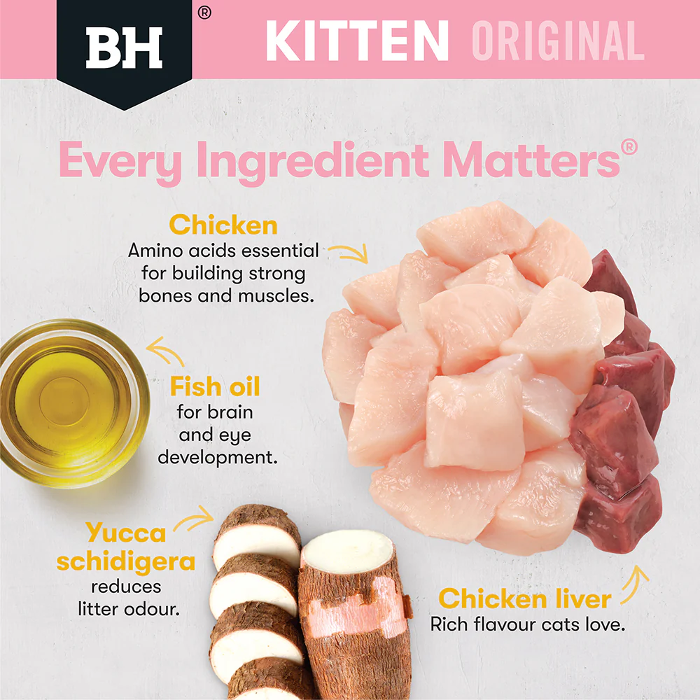 BLACK HAWK Original Chicken in Gravy Kitten Wet Cat Food - Image 14