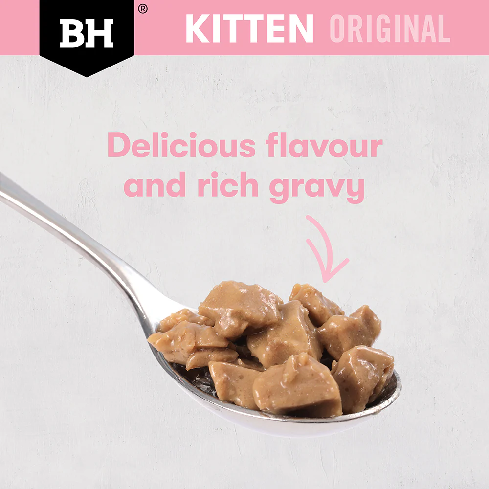 BLACK HAWK Original Chicken in Gravy Kitten Wet Cat Food - Image 7
