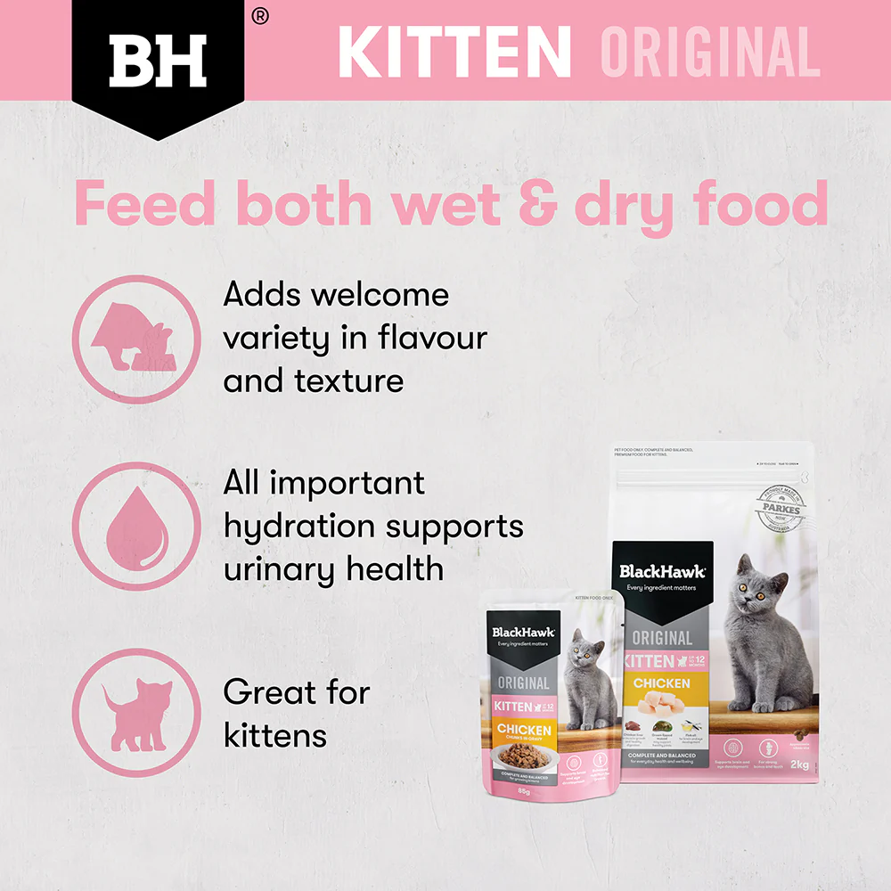 BLACK HAWK Original Chicken in Gravy Kitten Wet Cat Food - Image 9