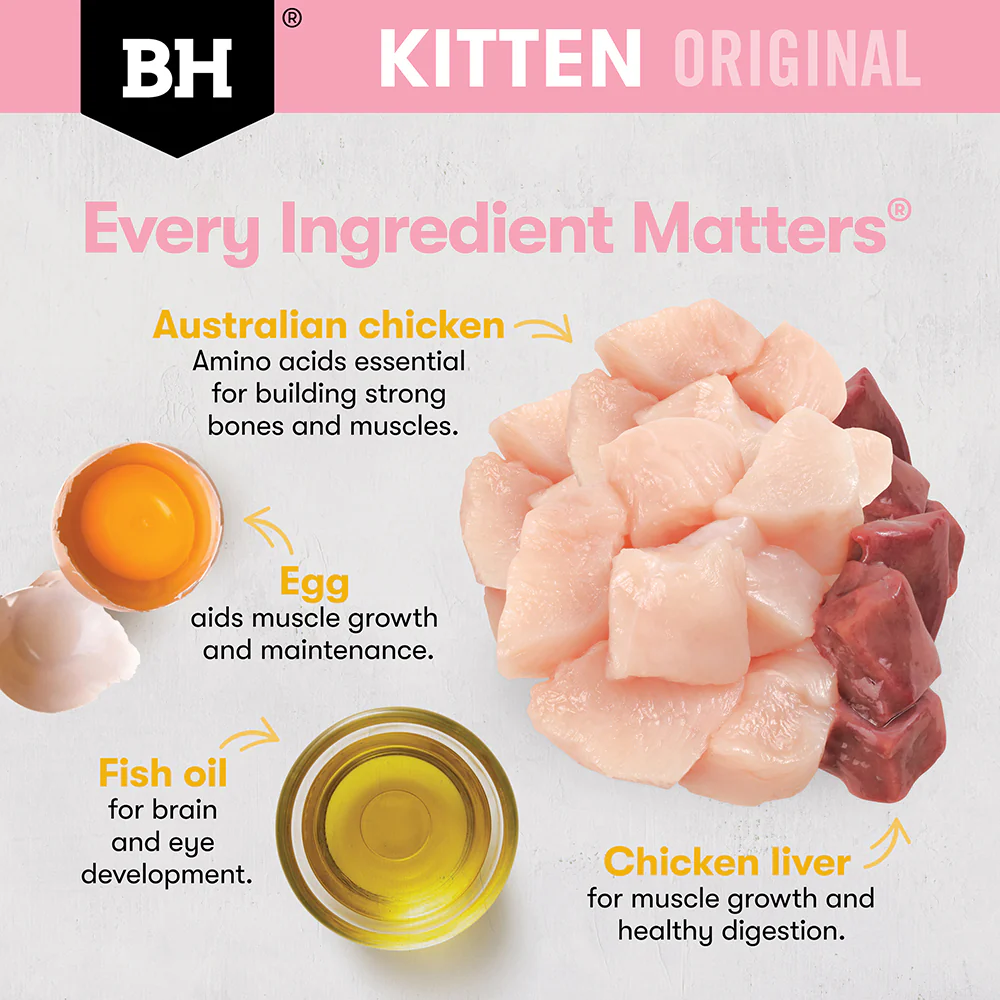 BLACK HAWK Original Chicken Kitten Cat Food - Image 5