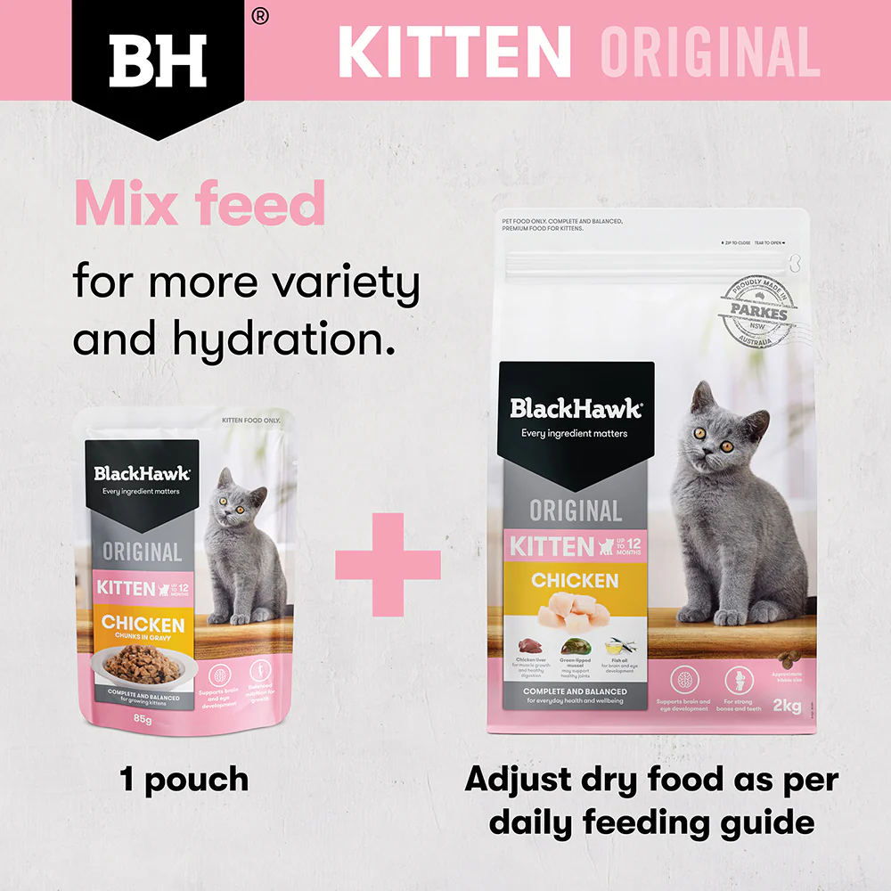 BLACK HAWK Original Chicken Kitten Cat Food - Image 7