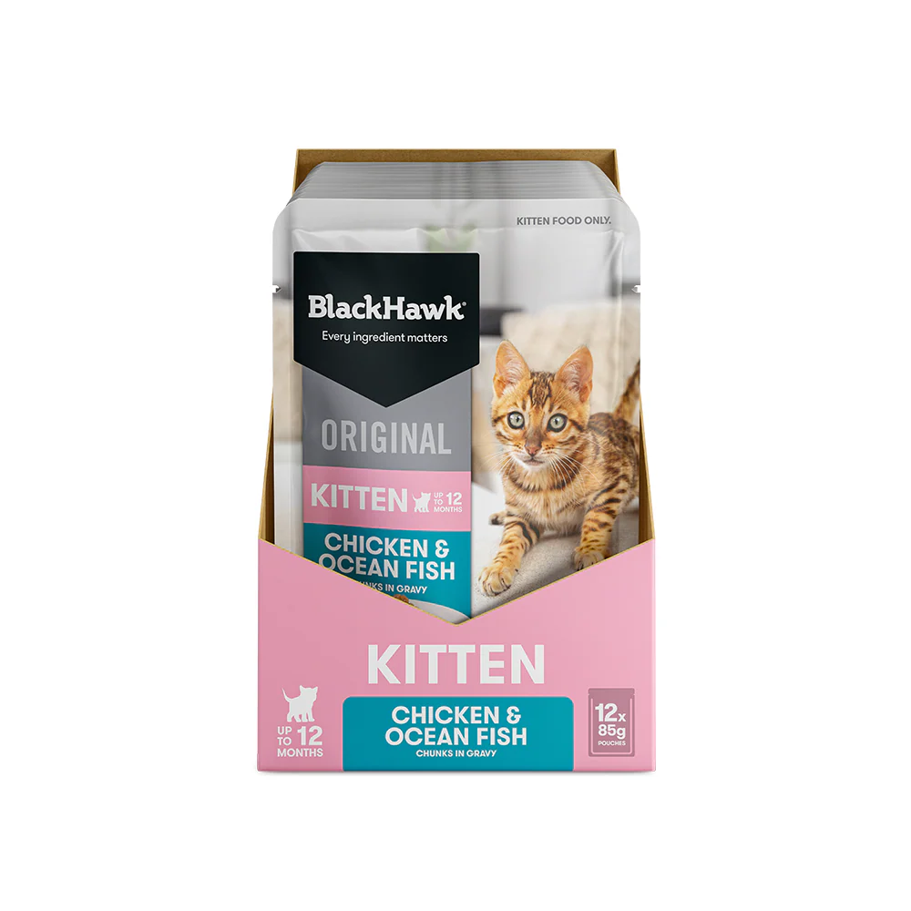 BLACK HAWK Original Chicken & Ocean Fish in Gravy Kitten Wet Cat Food