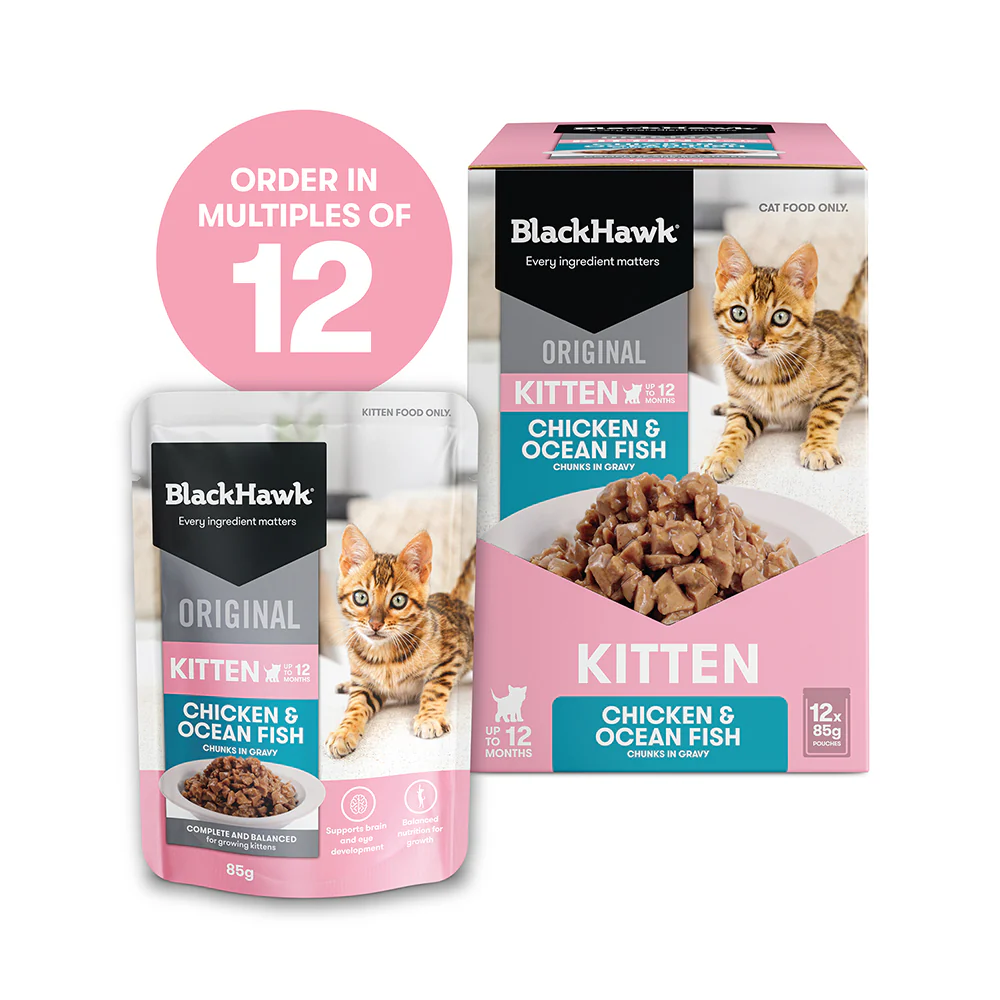 BLACK HAWK Original Chicken & Ocean Fish in Gravy Kitten Wet Cat Food - Image 12