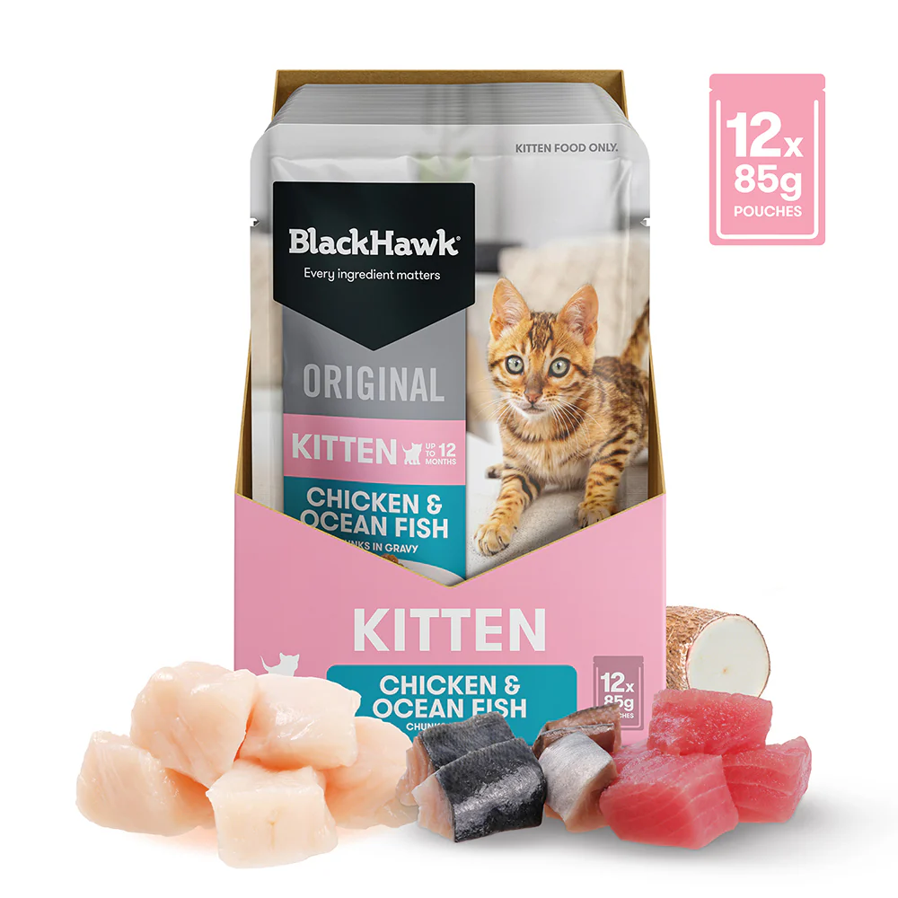 BLACK HAWK Original Chicken & Ocean Fish in Gravy Kitten Wet Cat Food - Image 13