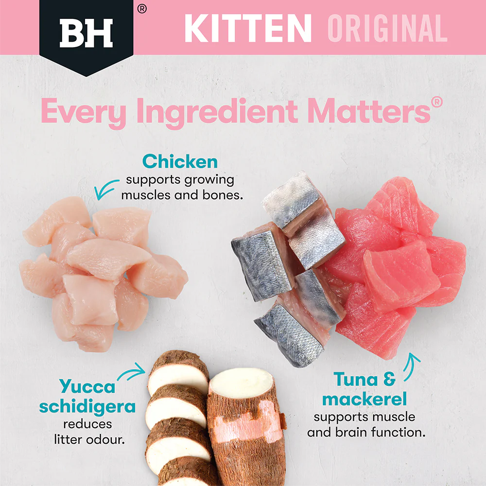 BLACK HAWK Original Chicken & Ocean Fish in Gravy Kitten Wet Cat Food - Image 14