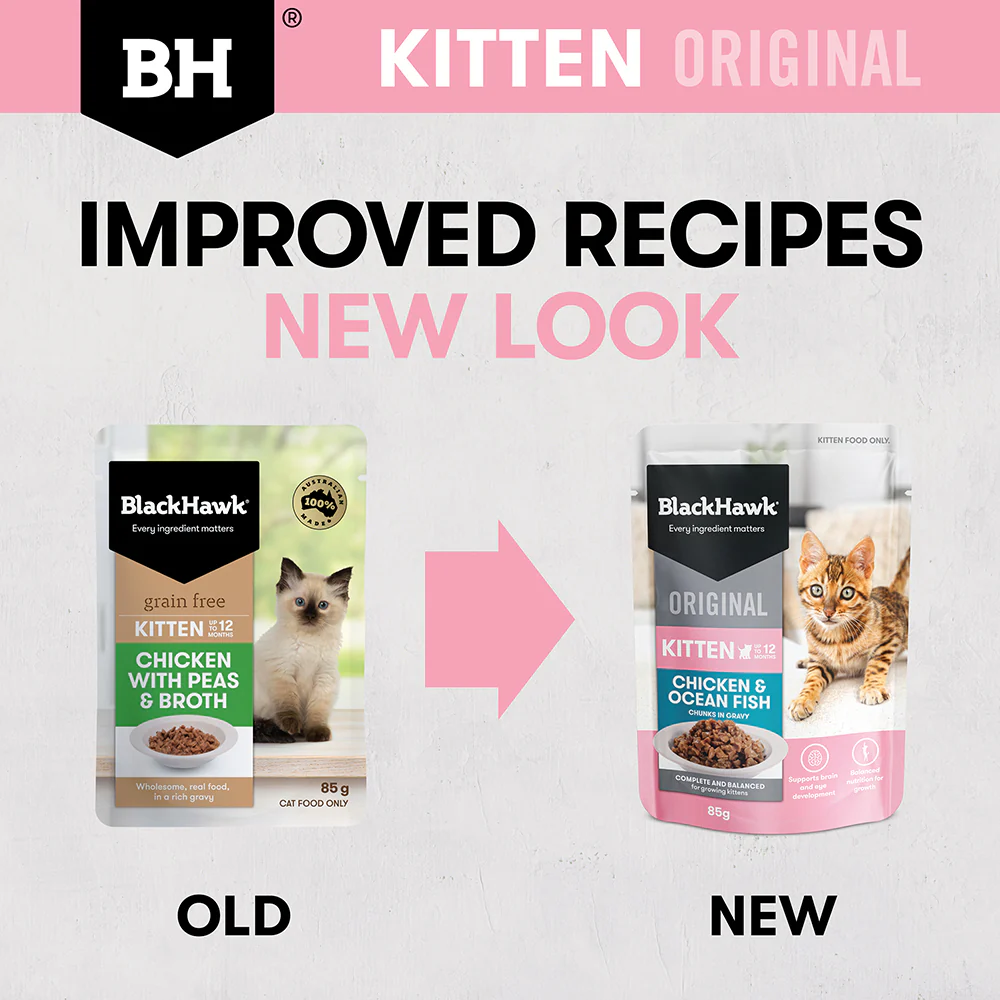 BLACK HAWK Original Chicken & Ocean Fish in Gravy Kitten Wet Cat Food - Image 2
