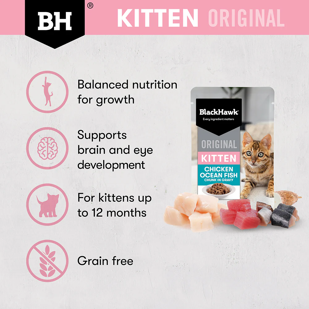 BLACK HAWK Original Chicken & Ocean Fish in Gravy Kitten Wet Cat Food - Image 6