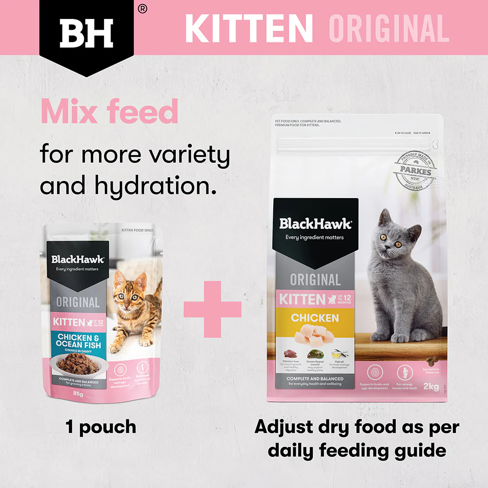 BLACK HAWK Original Chicken & Ocean Fish in Gravy Kitten Wet Cat Food - Image 8