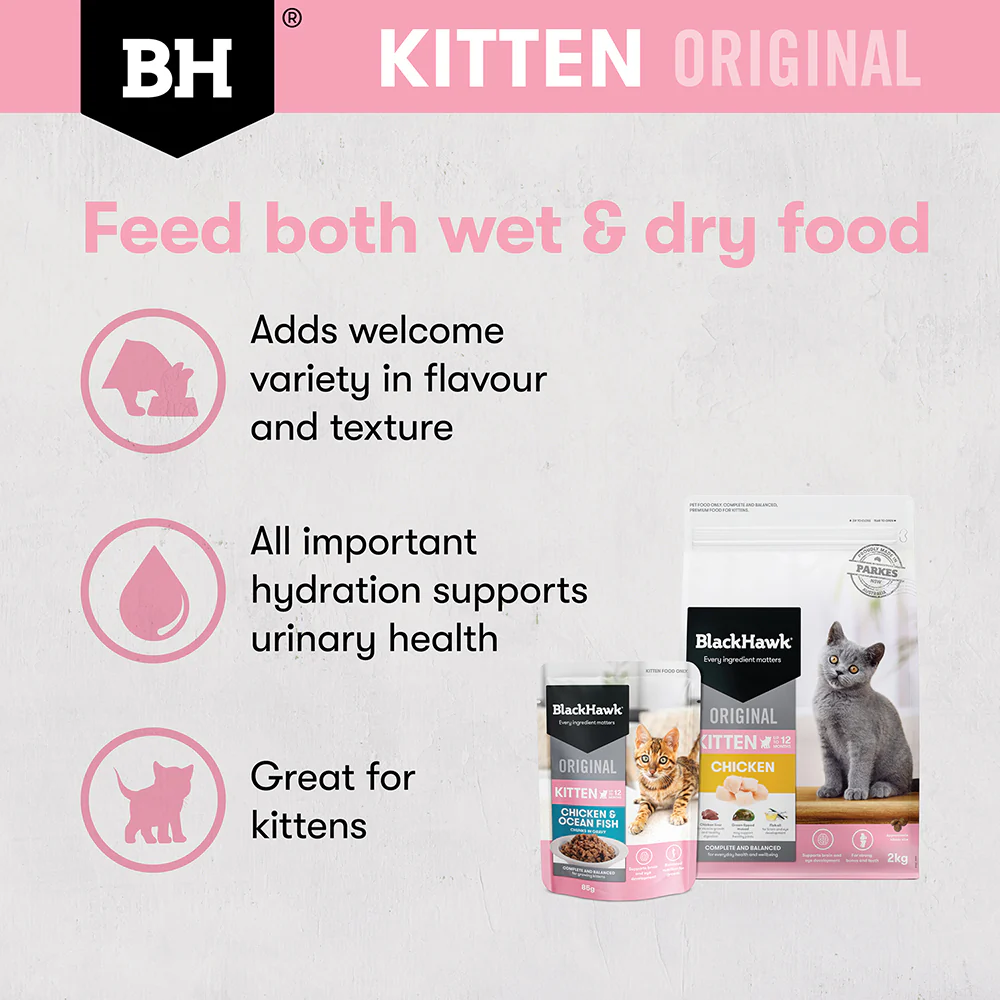 BLACK HAWK Original Chicken & Ocean Fish in Gravy Kitten Wet Cat Food - Image 9