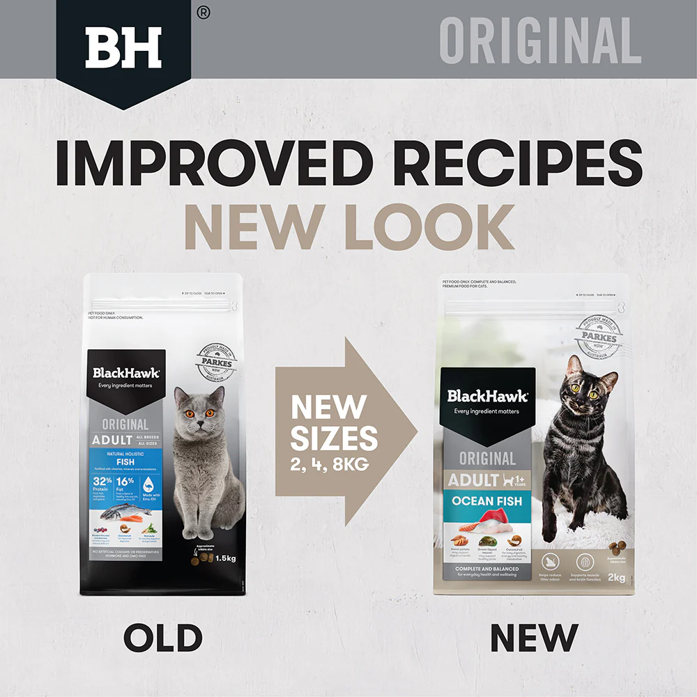 BLACK HAWK Original Ocean Fish Adult Cat Food - Image 4