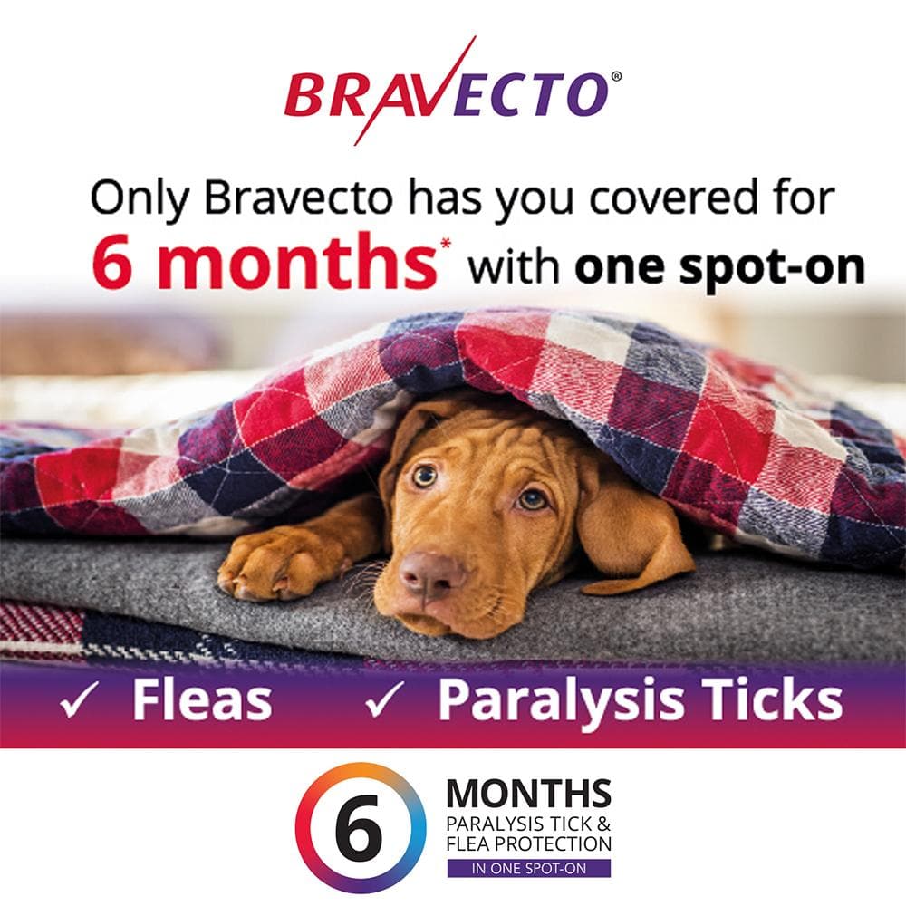 BRAVECTO For Very Small Dogs 2-4.5kg 1 Pipette - Image 3