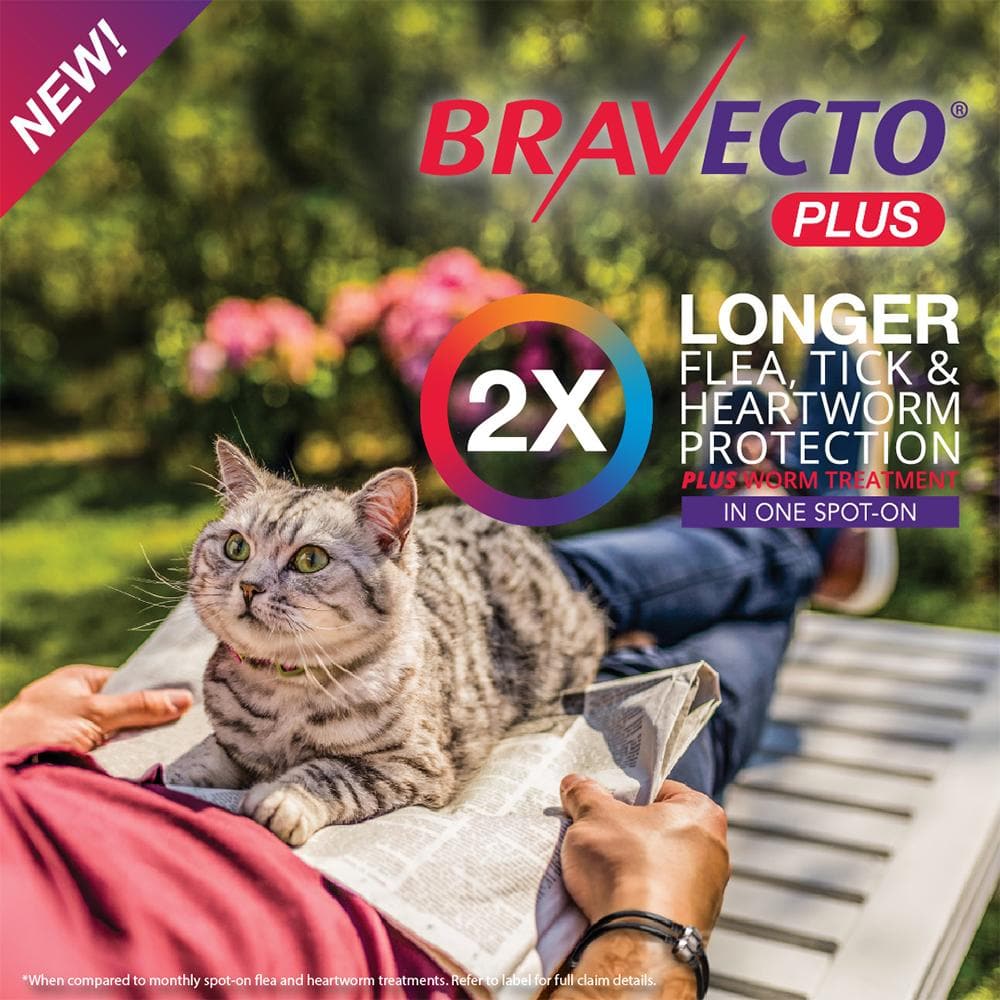 BRAVECTO Plus For Large Cats 6.25-12.5kg 1 pipette - Image 4