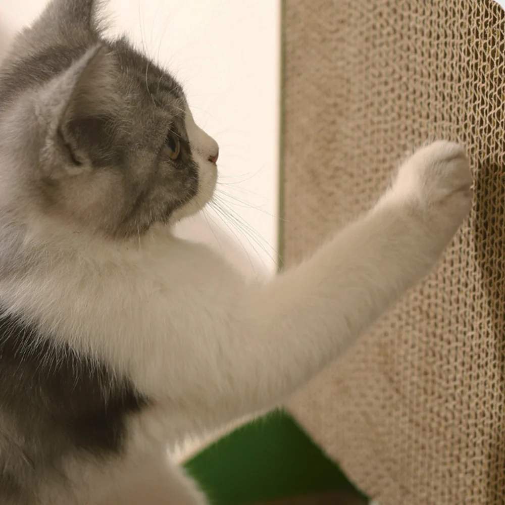 Cactus Corrugated Paper Seesaw Cat Scratcher - Image 3