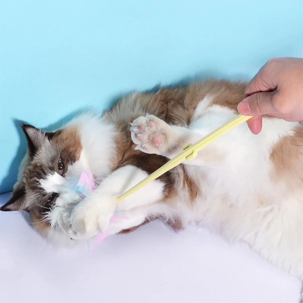 Cactus Long Pole Feather Cat Teaser Yellow - Image 2