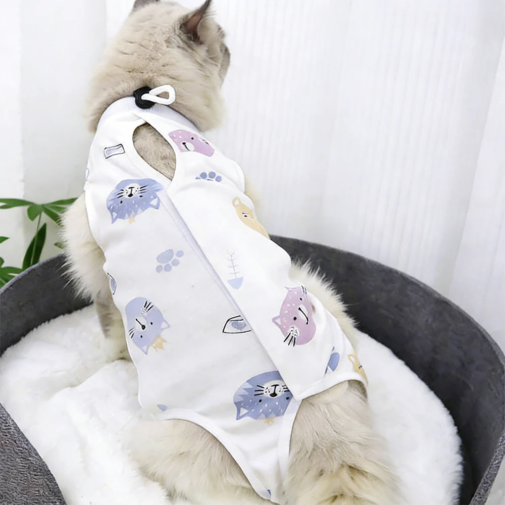 Cartoon Cat Pet Clothes - Random Shipment - Image 11