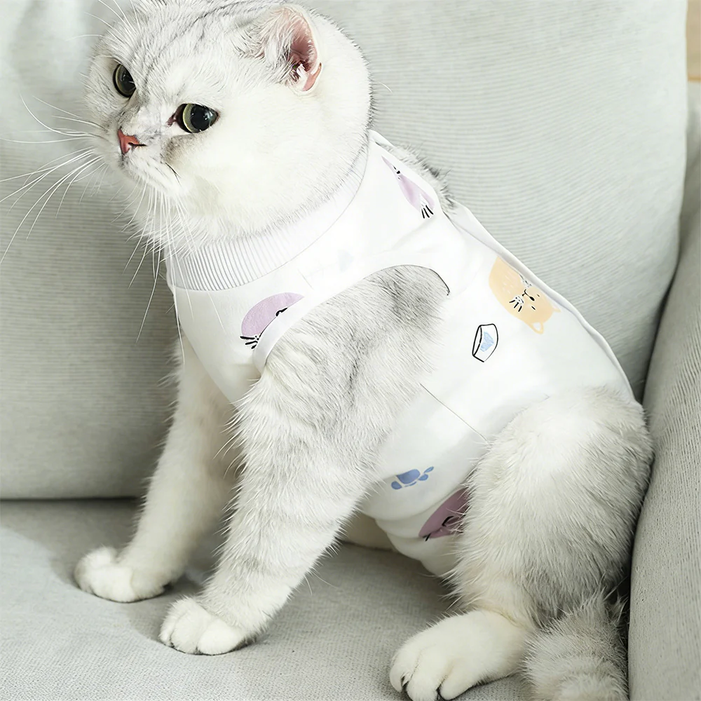 Cartoon Cat Pet Clothes - Random Shipment - Image 14