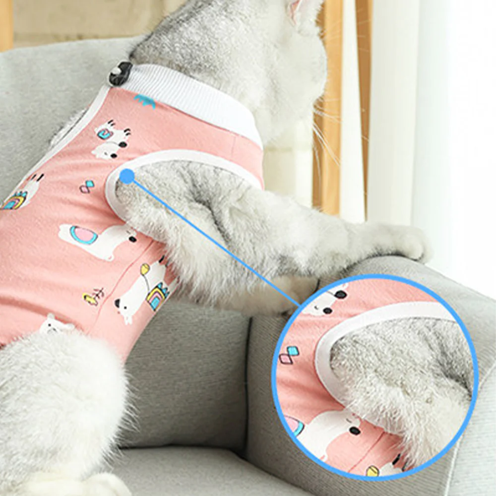 Cartoon Cat Pet Clothes - Random Shipment - Image 4