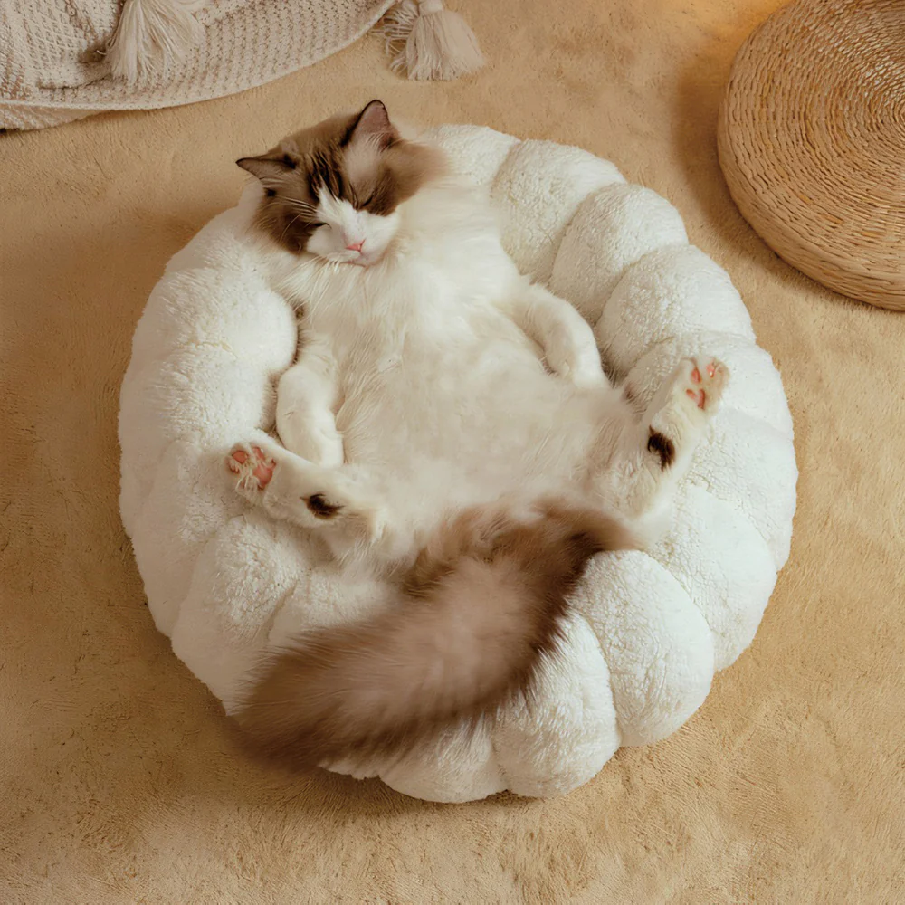 Cat Bed | Cozy Soft Deep Sleep Nest All Season - Image 6