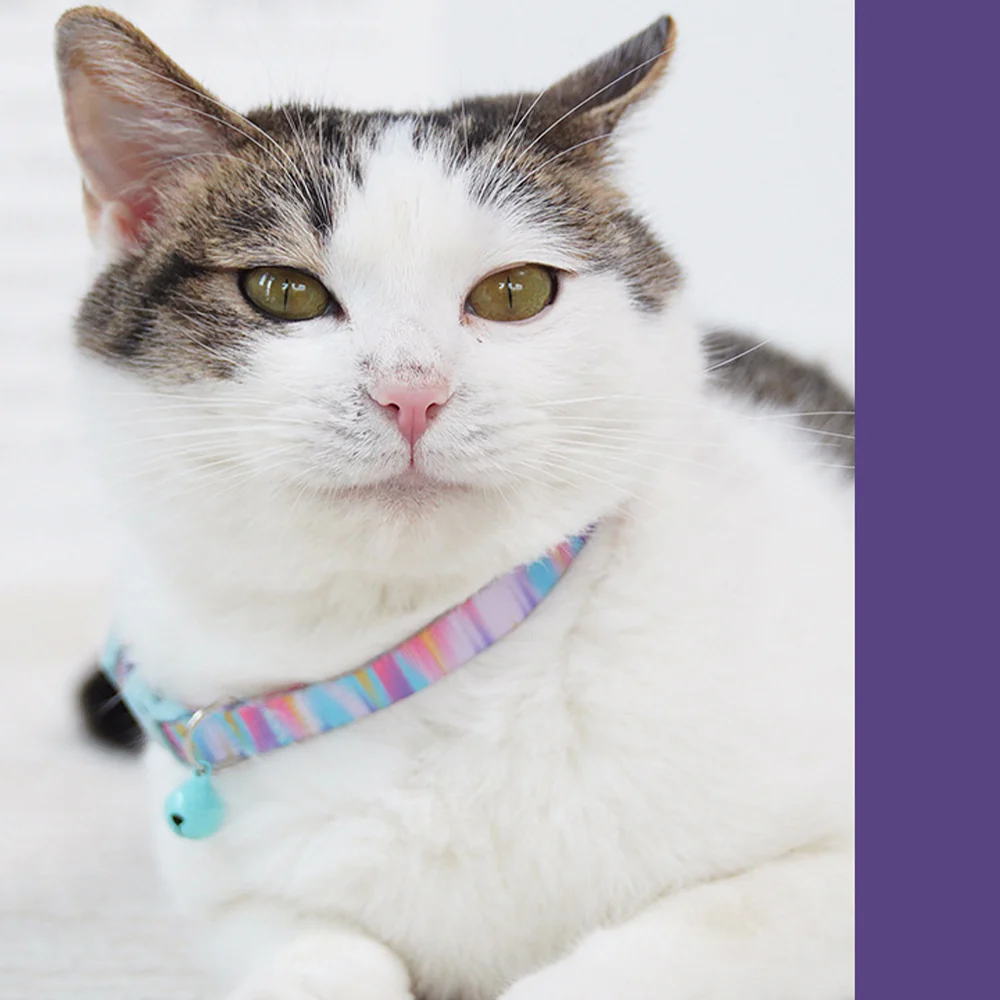 Cat Collar Breakaway Safety Adjustable with Bell | PETSO - Image 2