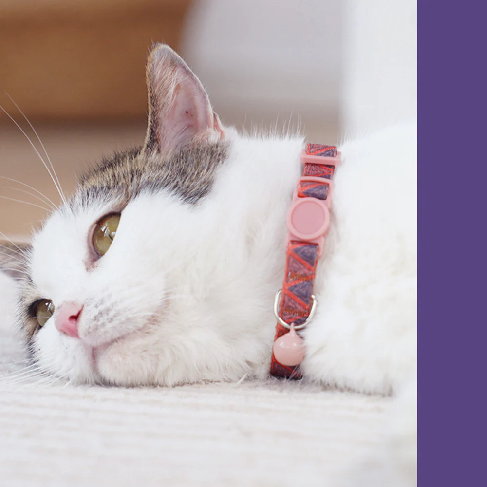 Cat Collar Breakaway Safety Adjustable with Bell | PETSO - Image 4
