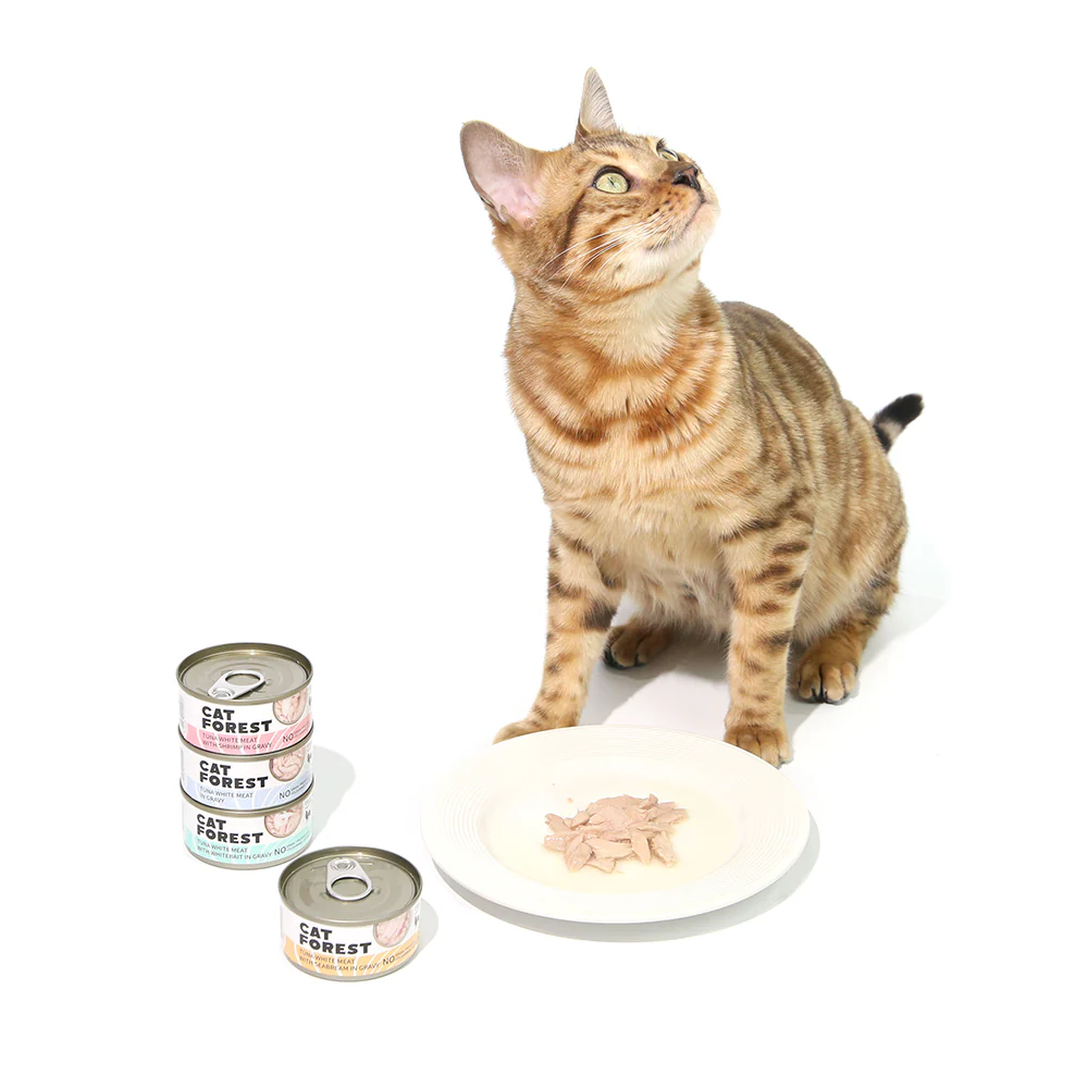 CAT FOREST Classic Tuna White Meat with Shrimp in Gravy Canned Cat Food - Image 10