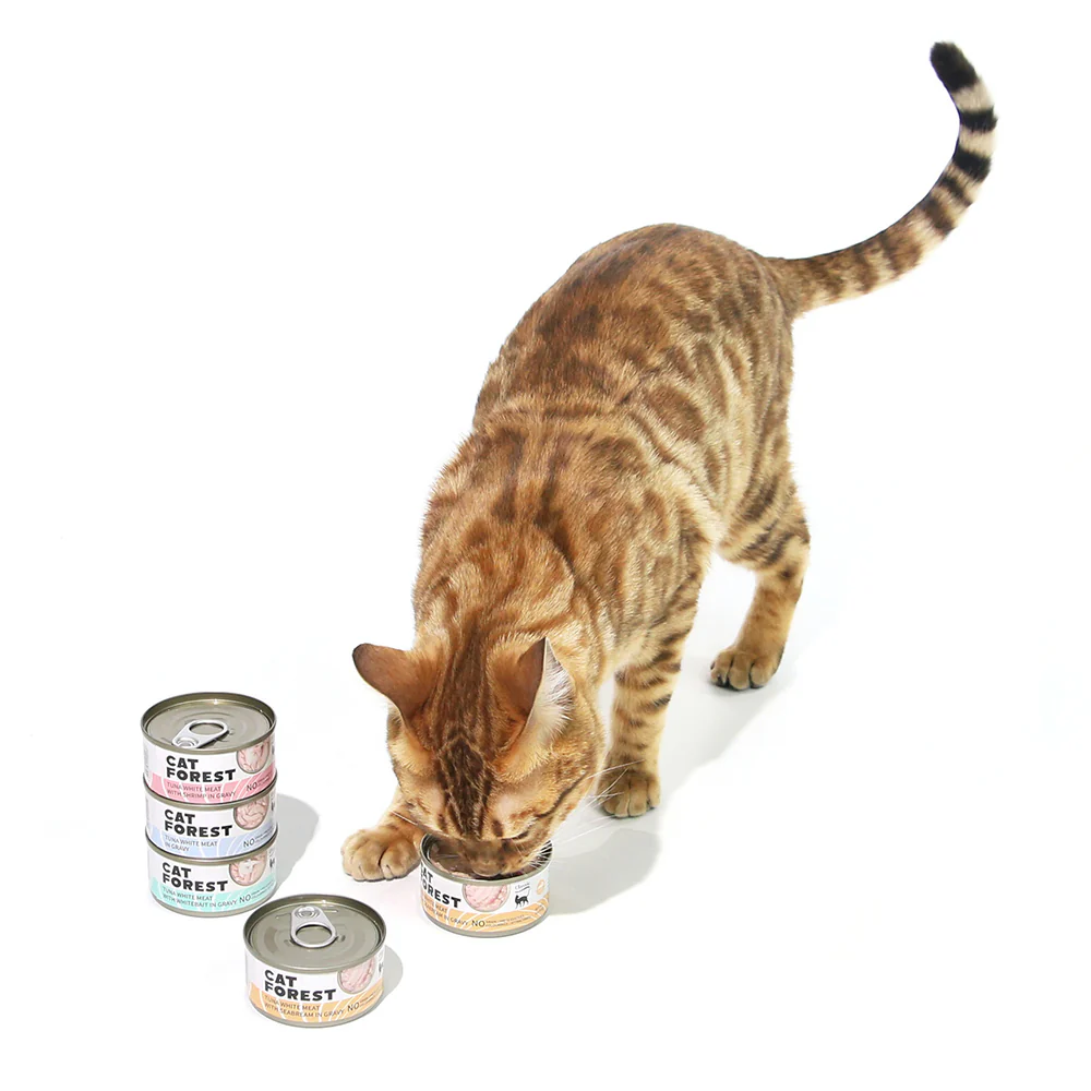 CAT FOREST Classic Tuna White Meat with Whitebait in Gravy Canned Cat Food - Image 8
