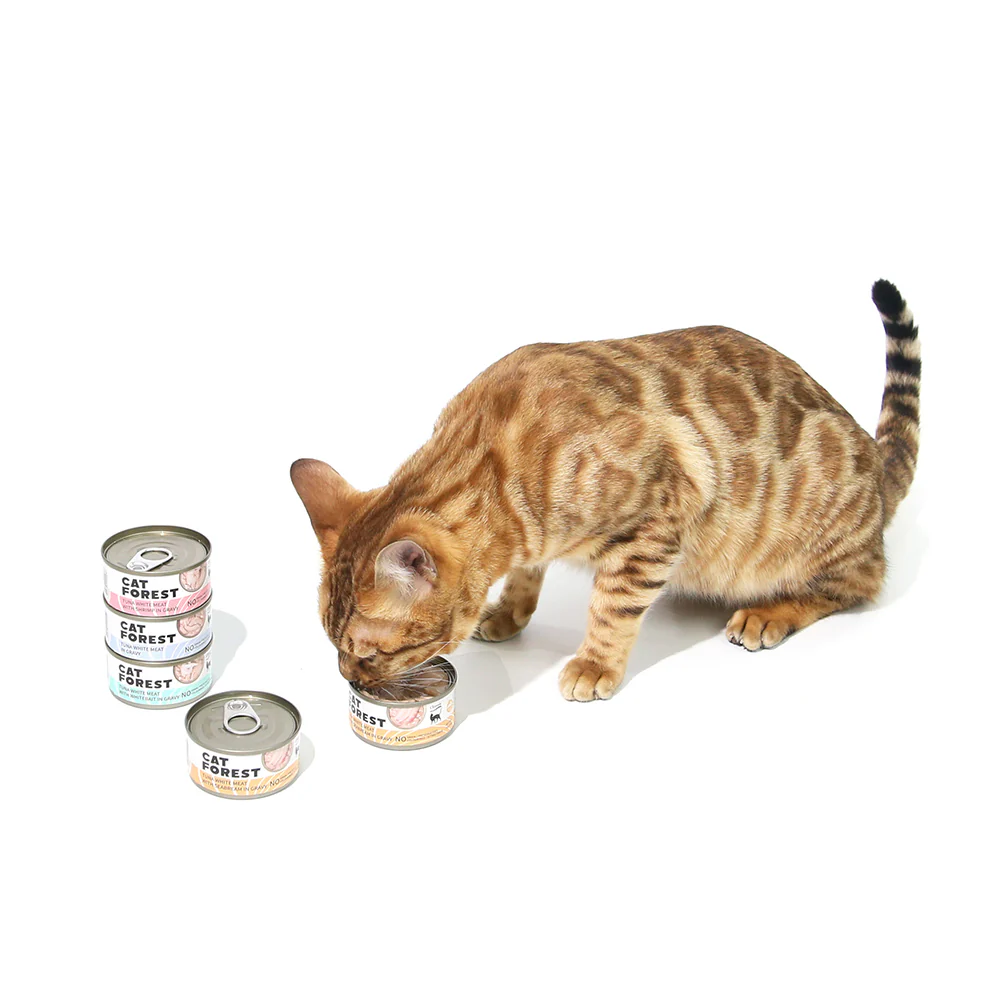CAT FOREST Classic Tuna White Meat with Whitebait in Gravy Canned Cat Food - Image 9