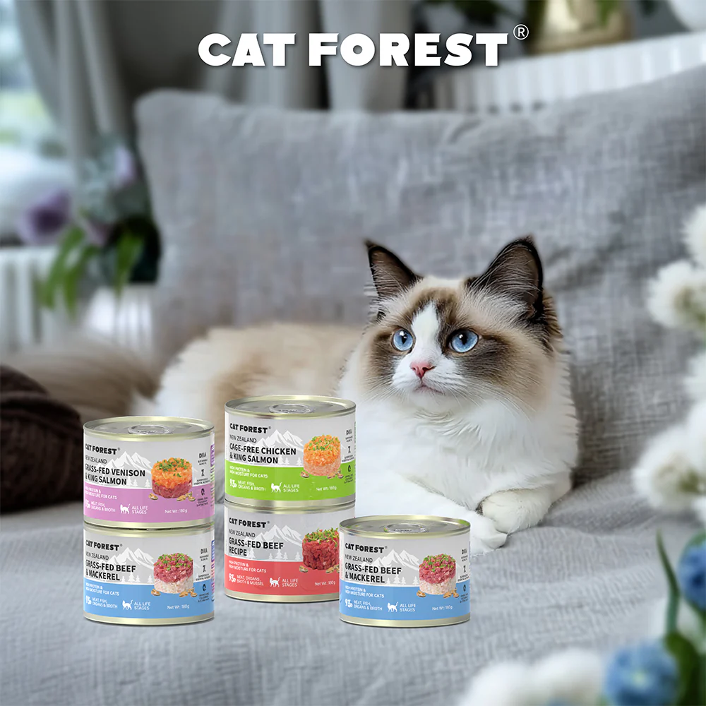 CAT FOREST Grass-Fed Beef & Mackerel Wet Cat Canned Food - Image 4